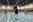 Vedersoeefterskole Profilfag Badminton Smash