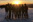 Vedersoeefterskole Website Social Rejser Skiferie Alpin